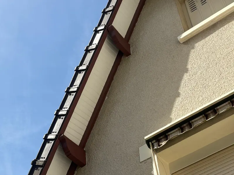 Rive de toiture et descente de gouttière en zinc